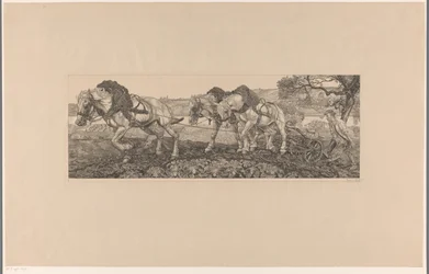 Ploegende paarden