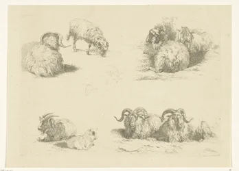 Vier voorstellingen met schapen en geiten
