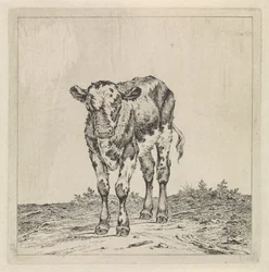 Landschap met kalf