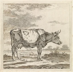 Landschap met koe aan waterkant