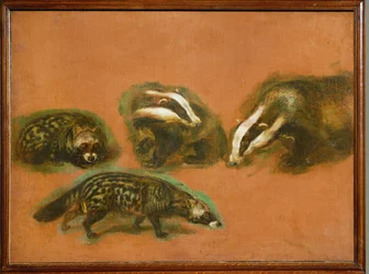 Een civetkat en een das (schilderij op doek)