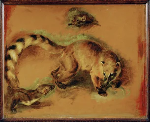 Een coati en een klein knaagdier (schilderij op canvas)