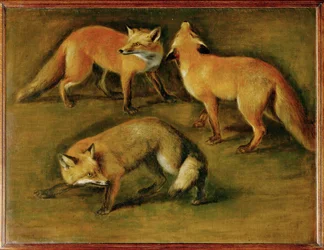 Een vos (schilderij op canvas)