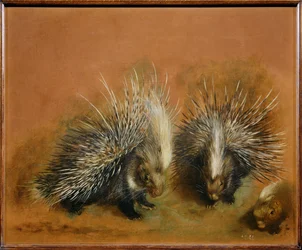 Stekelvarken (schilderij op doek)