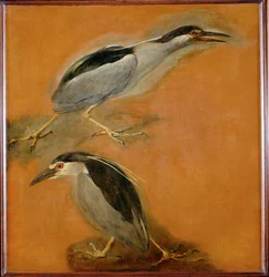 Twee reigers (schilderij op doek)