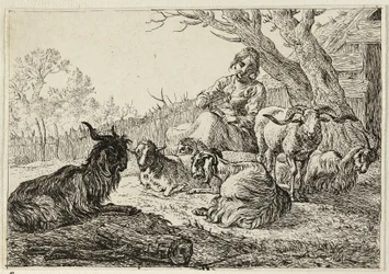 Sheperdess tussen geiten en schapen