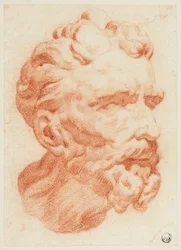 Hoofd van bebaarde man in driekwartprofiel naar rechts