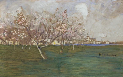 Lente