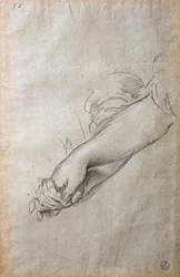 Handen en armen, studie voor Het Gouden Acortonage fresco