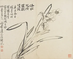 Landschappen, Bloemen en Vogels: Narcissus, Qing-dynastie