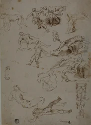 Schetsen van Mannelijke Naakten, Dieren en Decoratieve Details