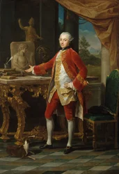 Portret van een Jonge Man