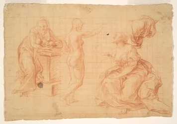 Studies voor