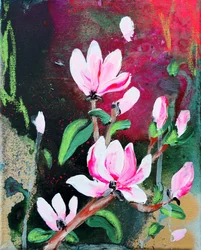 Roze magnoliabloesems