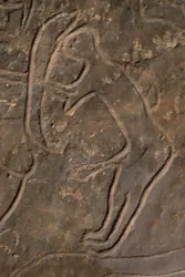 Menselijke figuur en stierenkop (rotsgravure)