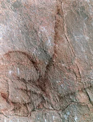 Antilopenfiguur, rotsschildering, Paleolithicum (ca. 40000-12000 v.Chr.) (foto)