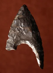 Egyptische oudheid: pijlpunten van de site van Fayoum (Fayyum of Fayum) in Egypte. Predynastieke periode. Verona, Museo Civico di Storia Naturale, Italië