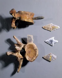 Vuursteen met prehistorisch bot in, Museum van Nationale Oudheden