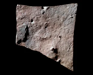 Grafietfragment met hertenkop