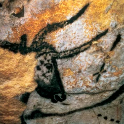 Muurschildering die een oeros (uitgestorven rund) afbeeldt, Stierenkamer, Lascaux-grot, Montignac, Dordogne, Frankrijk, paleolithische Magdalénienperiode