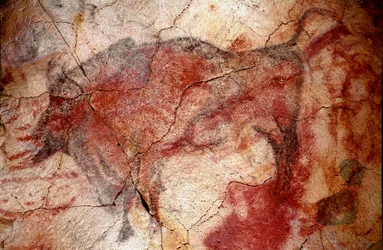 Prehistorie: rustende bizon rotsschildering van het Boven-Paleolithicum (Magdalenien)