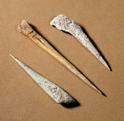 Prehistorie: botperch uit het Paleolithicum