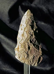 Prehistorie: amandelvormige vuistbijl van vuursteen. Vroegpaleolithicum. Uit Torrimpietra bij Rome. Rome, Nationaal Prehistorisch en Etnografisch Museum Luigi Pigorini, Italië