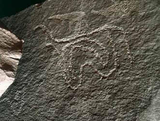 Prehistorie, rotstekeningen: een serieuze rots van de weergave van een vee. Tazina-stijl. Steentijd 5000-2000 v.Chr. Taghit, Haut plateau du Hoggar (Ahaggar), Algerije