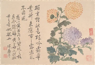 Chrysanten (albumblad; inkt en kleur op papier)