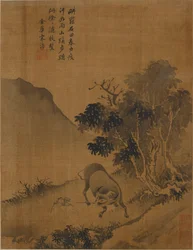 Herderjongen trekt waterbuffel