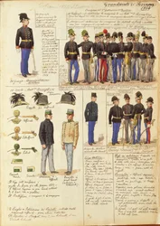 Uniformen van het Groothertogdom Toscane door Quinto Cenni, kleurenplaat