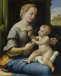 De Madonna van de Anjers (La Madonna dei Garofani), ca. 1506-1507