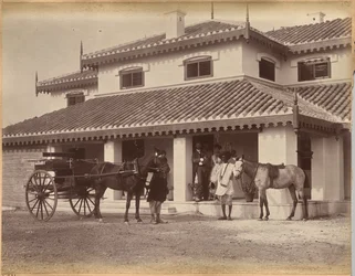 De heer MacNull, Jhansi (verso)