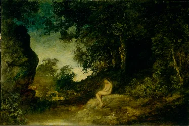 Aan de spiegel van de natuur