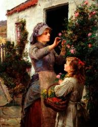 Rozen voor de zieke, 1894