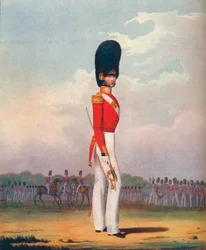 Officier, Grenadier Guards
