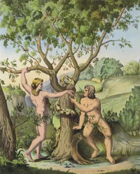 Eva presenteert de appel van de Boom van Kennis van Goed en Kwaad aan Adam