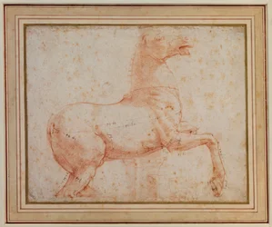 Studie van een van de Quirinal marmeren paarden