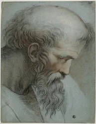 Hoofd van Pythagoras