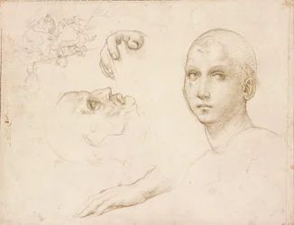Studies voor de Drie-eenheid van San Severo