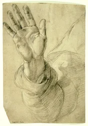 Opgeheven rechterhand, met handpalm naar buiten: studie voor Sint Petrus, 1518-20
