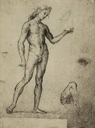 Mannelijk naaktstudie; tekening door Raphael