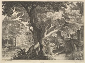 Bosrijk landschap