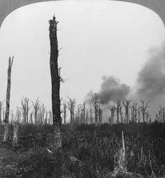 Hoog explosieve granaten die ontploffen in Mametz Wood, Frankrijk, Eerste Wereldoorlog, 1916