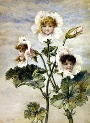 Geranium & Lathyrus- Bloemenkinderen- een paar