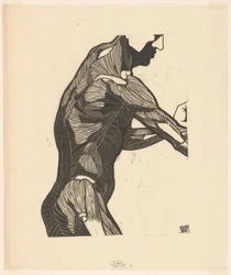 Anatomische studie van de zij- en armspieren van een man