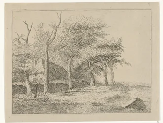 Rij bomen