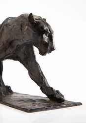 Panter lopend, achterpoot opgetild, ca.1904