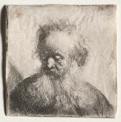 Oude man met golvende baard: Buste