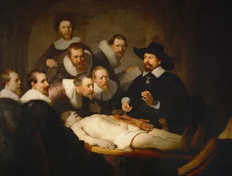 De anatomie van Dr (olieverf op doek)